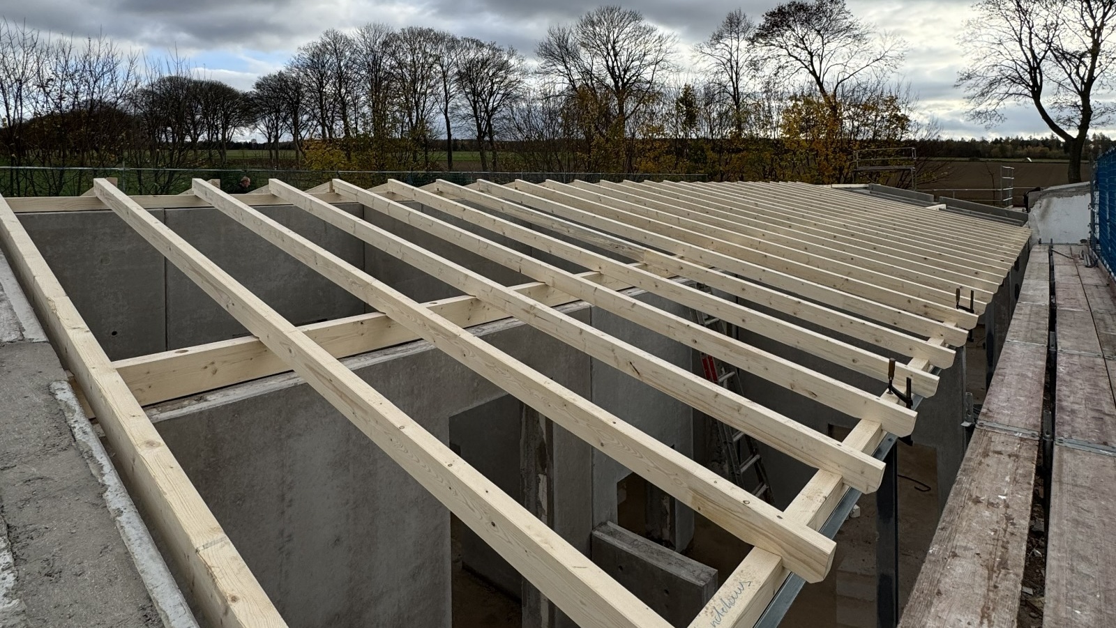 Tierheim Neubau erzielt große Fortschritte