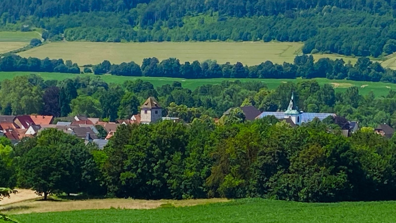 HVV lädt zur Sommerwanderung auf den Wildberg ein