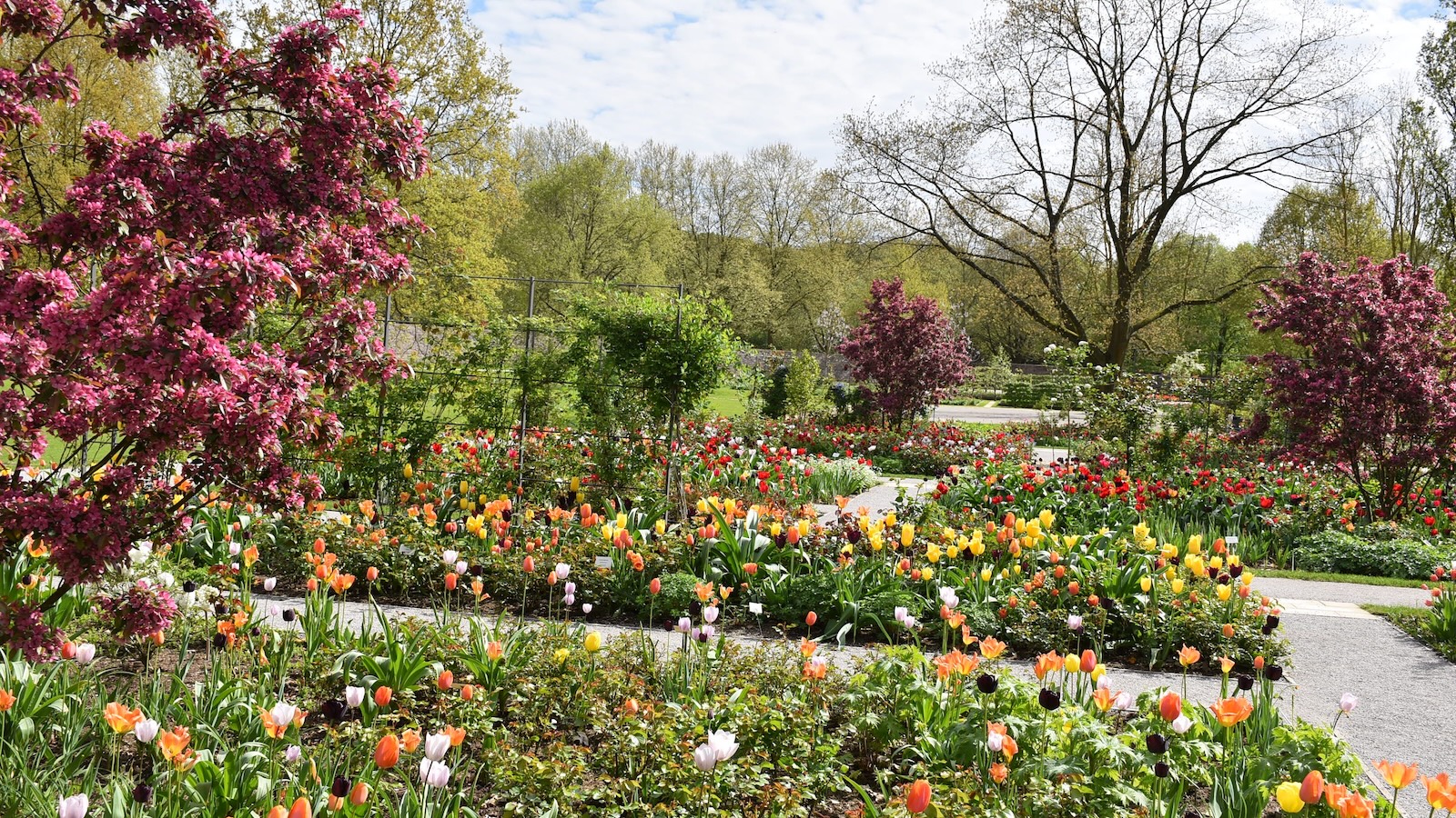 Saisonstart: Der Remtergarten in Corvey eröffnet am letzten Märzwochenende