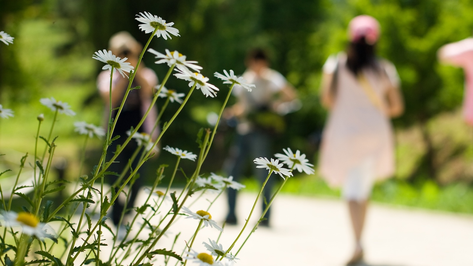 Offener Treff in Höxter lädt zum „walk and talk“ ein