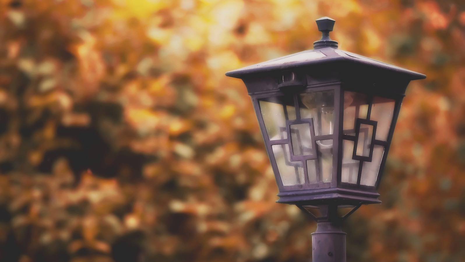 Störung der Straßenbeleuchtung in Höxter und Umgebung